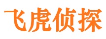 元江市侦探公司